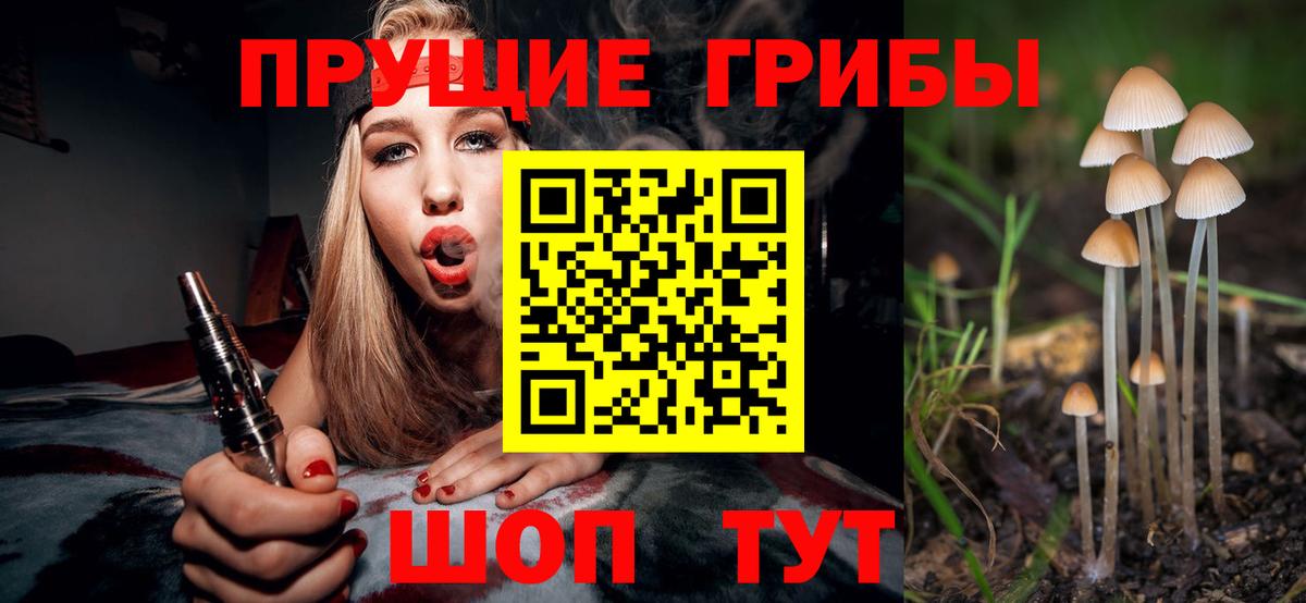 Псилоцибиновые грибы Psilocybe  Вход с VPN  Асино 